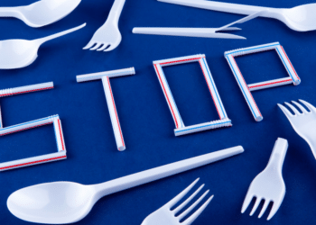 Firstmold Delivering Trusted Plastic Injection Molding Services