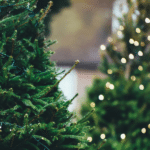 Get Your Christmas Tree Without Leaving Home- Christmas Tree Brooklyn Offers Delivery and Setup