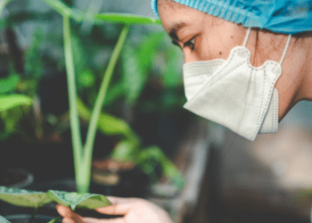 Influence of Meg Miller’s Research on Agricultural Policies