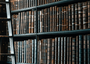 Navigating Immigration Law How Expert Lawyers Can Help