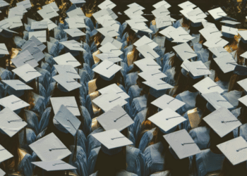 Strategies for New Graduates to Build Diverse Career Pathways