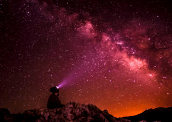 The Refuge of the Werewolf Pack Witness A Journey to Reclaiming the Lost in ‘Space Trip’ by Vincent Chin