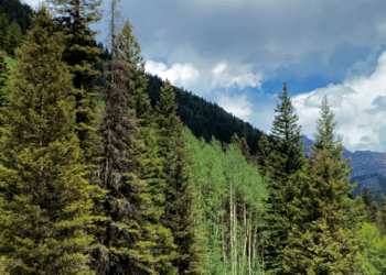 Tips for a Memorable and Budget-Conscious Telluride Trip