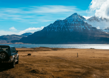 How to Choose the Bumper: A Guide for Offroad Enthusiasts