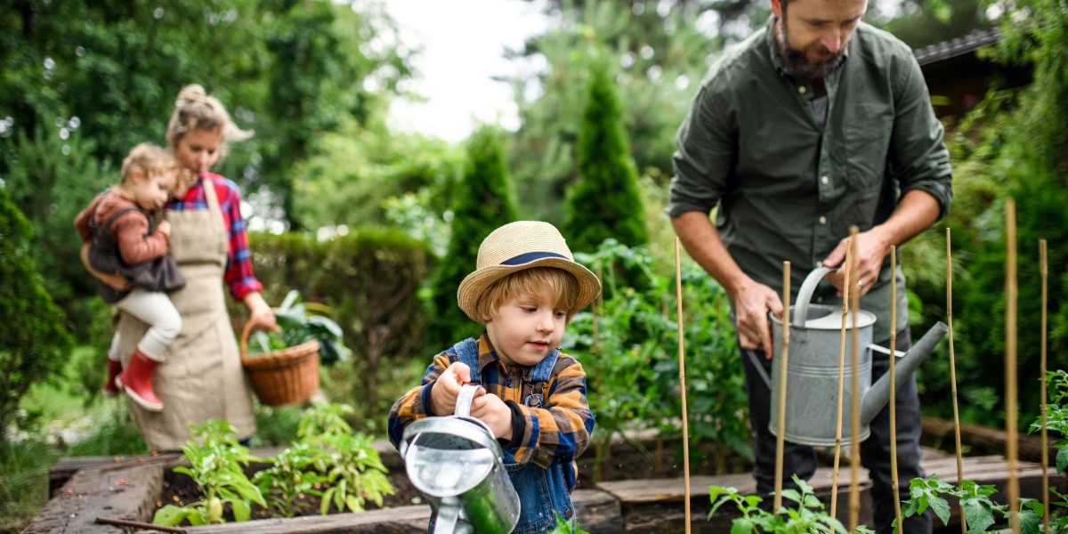 Community Gardens Building Connections Through Gardening