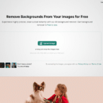 BG Remove Review: Eliminate Backgrounds From Your Images at No Cost