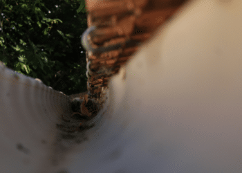 The Essential Guide to Gutter Cleaning: Why, When, and How