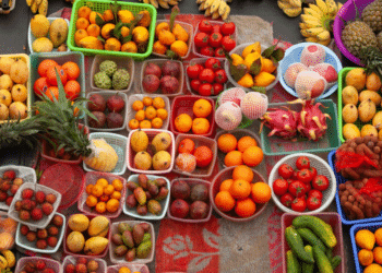 Tropical Harvest: Jamaican-Inspired Organic Drinks for a Healthier, Tastier Tomorrow