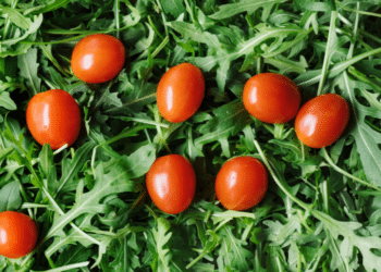 Proactive Steps to Prevent and Treat Enlarged Prostate Issues