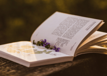 10 Tips for Choosing Eye-Catching Photos That Tell a Story