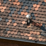 Roof Maintenance Tips for a Stronger, Longer-Lasting Home