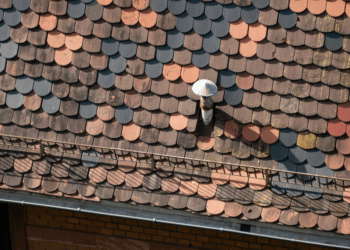 Roof Maintenance Tips for a Stronger, Longer-Lasting Home
