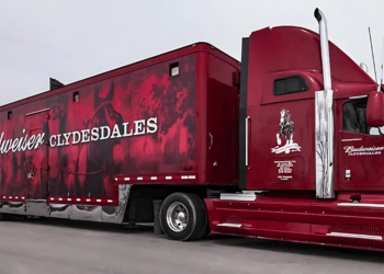 Maximizing Business Visibility: The Ultimate Guide to Fleet Vehicle Wraps