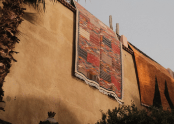 The Ultimate Guide to Carpets and Rugs: Finding Your Perfect Match