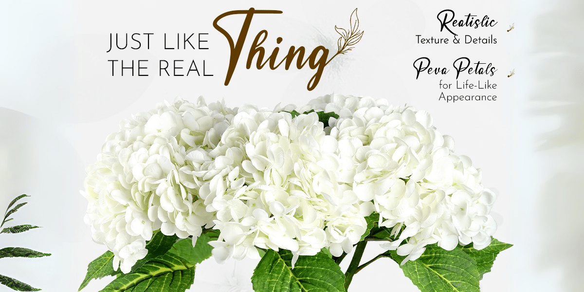 Jocey Ventures: Transforming Homes into Tranquil Retreats with Vanilla-Scented Hydrangeas