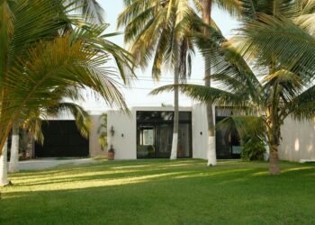 7 Tips to Improve Your Synthetic Grass Landscape Design