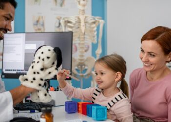 Elevating Healthcare Accessibility through Health IT Bridging Gaps in Multilingual America