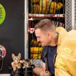 Rescue Cats & Heroes Featured in 2025 Purrfect Calendar