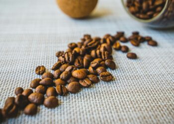 A Coffee Lover’s Guide to Flavor, Origin & Brewing
