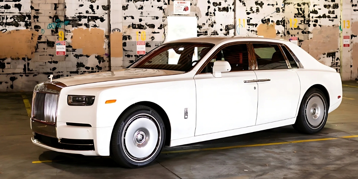 Energetic Exotics: Bringing Miami's Luxury to Tampa and Beyond