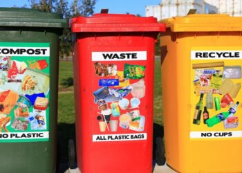 10 Reasons to Use Skip Bags for Your Next Project