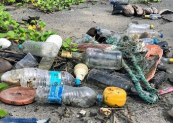 Plastic in Everyday Life: Understanding Our Growing Dependence on It