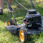 Lawn Mowing Statistics and Household Tips: Keeping New Jersey Lawns Green and Healthy