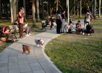 Great Dog Parks in Syracuse