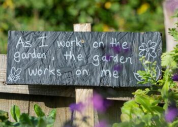 How to Shop for Power Garden Tools Online: 9 Practical Tips