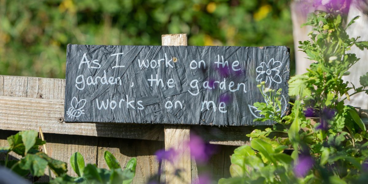 How to Shop for Power Garden Tools Online: 9 Practical Tips