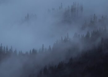 How to Plan Your First Getaway to the Smoky Mountains