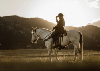Red River Ranch Romance: A Western Love Story Series by Cam Locke