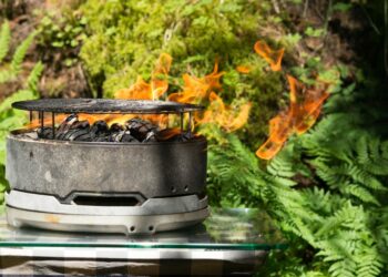 Why Portable Charcoal Grills Are Perfect for Camping and Outdoor Adventures