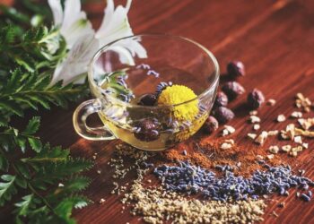 Astiry Herbal Teas: A Thoughtful Botanical Experience