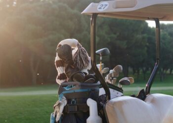 Growing Popularity of Game Improvement Iron Sets for New Golfers