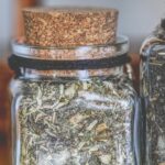 What Are Herbal Extracts? A Beginner’s Guide to Natural Wellness with Native Extracts