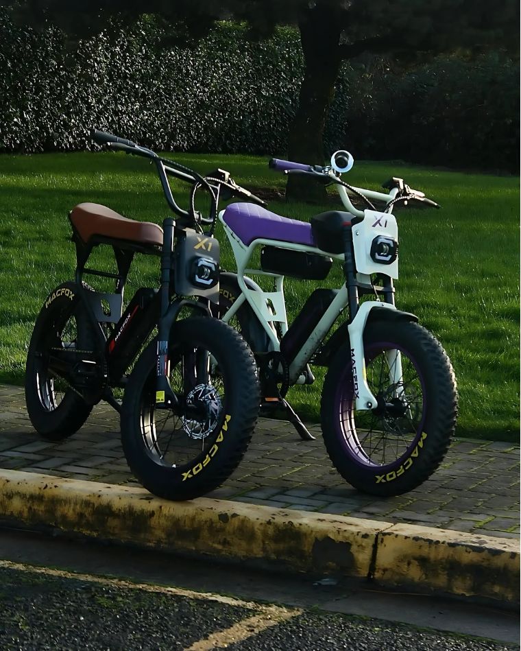 Macfox and the Electric Bike Market: Design, Performance, and Comfort