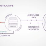 Safeguarding Global Payroll: How Mercans Ensures Compliance and Data Protection