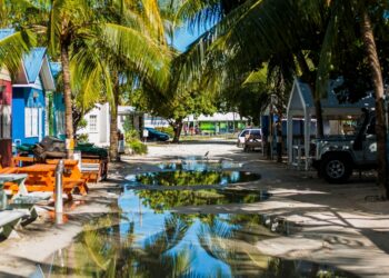 Barbados Bliss What to See, Savor, and Soak In on the Island of Warmth