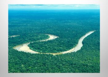 Indigenous-Led Conservation Adam Gebb and the Future of Biodiversity Protection