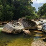 Indigenous-Led Conservation: Adam Gebb and the Future of Biodiversity Protection