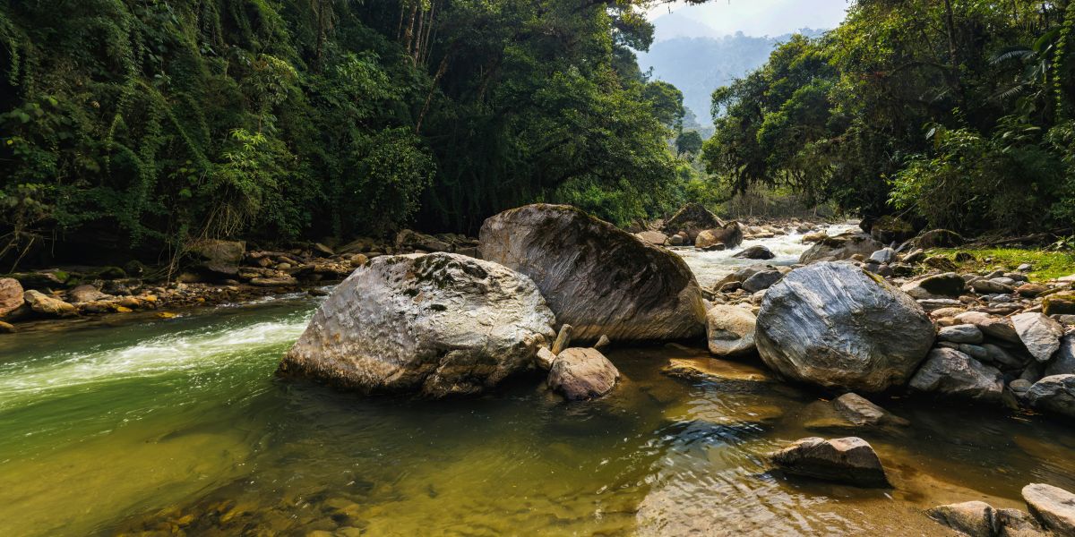 Indigenous-Led Conservation: Adam Gebb and the Future of Biodiversity Protection