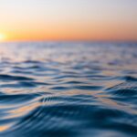 Exploring Calm Supplements by NeuroScience: What You Need to Know