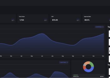 How Lasso Is Helping to Improve the Payment Experience for Ecommerce Brands
