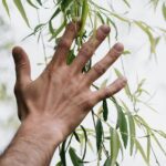 The Real Road to Sustainability - Quick Fixes, Hard Problems, and the Role of Fossil Fuels