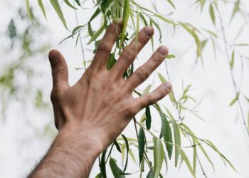 The Real Road to Sustainability - Quick Fixes, Hard Problems, and the Role of Fossil Fuels