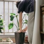 Impact of Garden Rooms in New York on Urban Living and Home Value