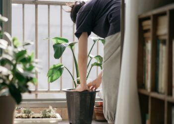 Impact of Garden Rooms in New York on Urban Living and Home Value