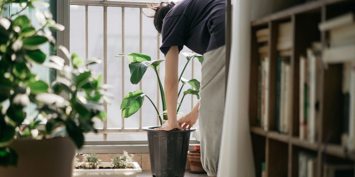 Impact of Garden Rooms in New York on Urban Living and Home Value