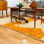 Woven Legacies: Moroccan Rugs and the Rise of Conscious Interiors